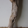 Treibholz Schwemmholz Driftwood 1 XXL Skulptur  Terrarium 100 cm 