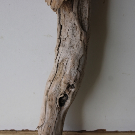 Treibholz Schwemmholz Driftwood 1 XXL Skulptur  Terrarium 100 cm 