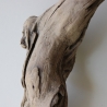 Treibholz Schwemmholz Driftwood 1 XXL Skulptur  Terrarium 100 cm 