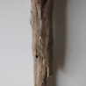 Treibholz Schwemmholz Driftwood 1 XXL Skulptur  Terrarium 100 cm 