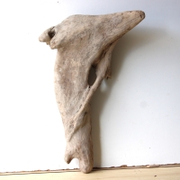 Treibholz Schwemmholz Driftwood 1 XL Skulptur  Terrarium 53 cm 