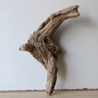 Treibholz Schwemmholz Driftwood 1 Wurzel  Terrarium 45 cm 