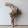 Treibholz Schwemmholz Driftwood 1 Wurzel  Terrarium 45 cm 