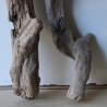 Treibholz Schwemmholz Driftwood 2 Hölzer Terrarium 50-53 cm 