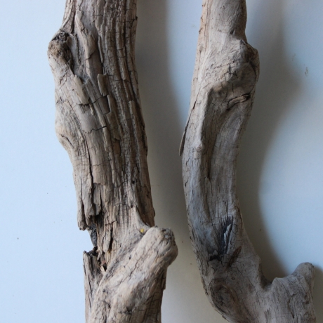 Treibholz Schwemmholz Driftwood 2 Hölzer  39-46 cm *E3*
