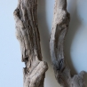 Treibholz Schwemmholz Driftwood 2 Hölzer  39-46 cm *E3*