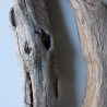Treibholz Schwemmholz Driftwood 2 Hölzer  39-46 cm *E3*