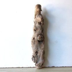 Treibholz Schwemmholz Driftwood 1 knorrige Skulptur   53 cm 