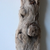 Treibholz Schwemmholz Driftwood 1 knorrige Skulptur   53 cm 