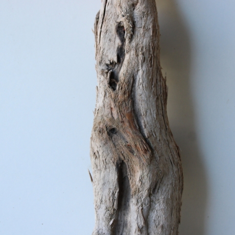 Treibholz Schwemmholz Driftwood 1 knorrige Skulptur   53 cm 