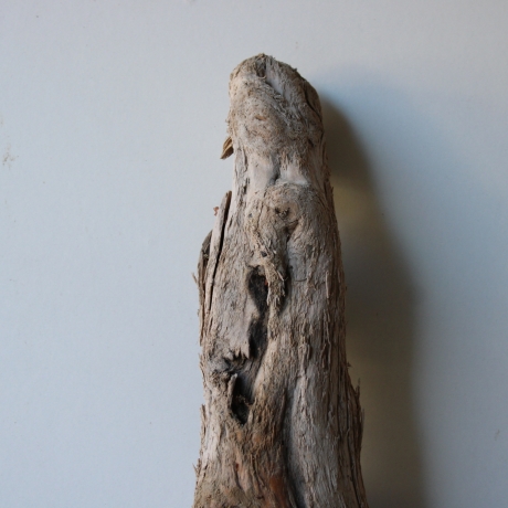 Treibholz Schwemmholz Driftwood 1 knorrige Skulptur   53 cm 