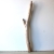 Treibholz Schwemmholz Driftwood 1  XL Ast  Garderobe 84 cm 
