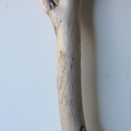 Treibholz Schwemmholz Driftwood 1  XL Ast  Garderobe 84 cm 