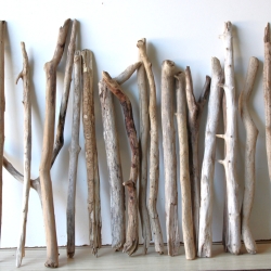 Treibholz Schwemmholz Driftwood 18 Äste  44 - 55 cm  **E7** 