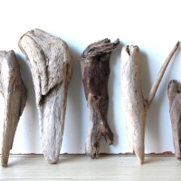 Treibholz Schwemmholz Driftwood 5 Hölzer Terrarium 27-34 cm *E6*