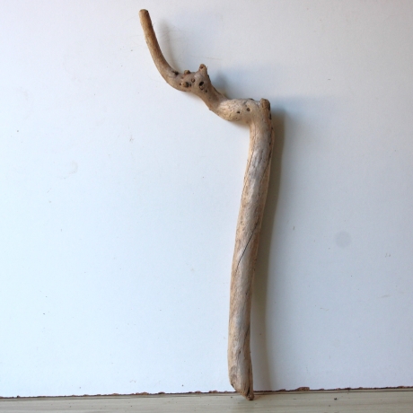 Treibholz Schwemmholz Driftwood 1  XL Ast  Garderobe 71 cm 