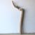 Treibholz Schwemmholz Driftwood 1  XL Ast  Garderobe 71 cm 
