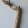 Treibholz Schwemmholz Driftwood 1  XL Ast  Garderobe 71 cm 