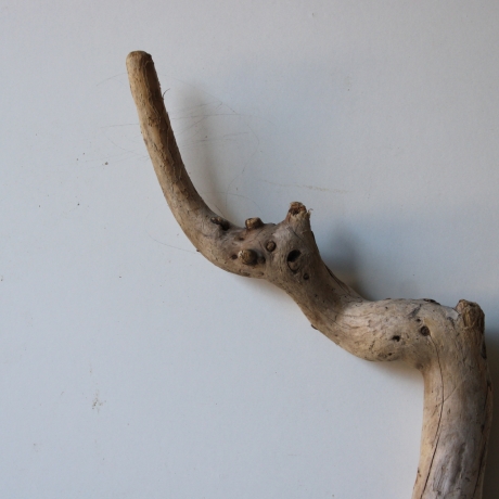 Treibholz Schwemmholz Driftwood 1  XL Ast  Garderobe 71 cm 