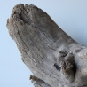 Treibholz Schwemmholz Driftwood 1 XXL WurzelTerrarium 30 cm hoch 