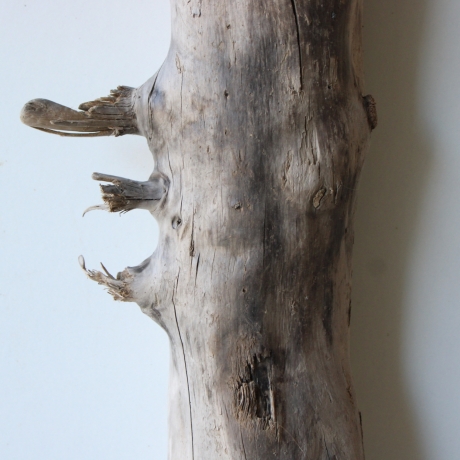 Treibholz Schwemmholz Driftwood 1 XL Stamm  Terrarium 79 cm 