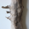 Treibholz Schwemmholz Driftwood 1 XL Stamm  Terrarium 79 cm 