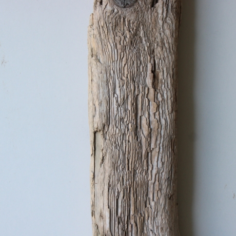 Treibholz Schwemmholz Driftwood  1 XL  Brett Regal  67 cm  