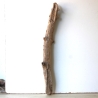 Treibholz Schwemmholz Driftwood 1 XL Stamm  Terrarium 92 cm 