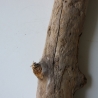 Treibholz Schwemmholz Driftwood 1 XL Stamm  Terrarium 92 cm 