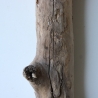Treibholz Schwemmholz Driftwood 1 XL Stamm  Terrarium 92 cm 
