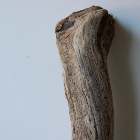 Treibholz Schwemmholz Driftwood 1 Wurzel  Terrarium 46 cm 