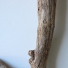 Treibholz Schwemmholz Driftwood 1 Wurzel  Terrarium 46 cm 