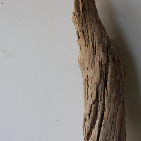 Treibholz Schwemmholz Driftwood 1 XXL Stamm  Terrarium 120 cm 