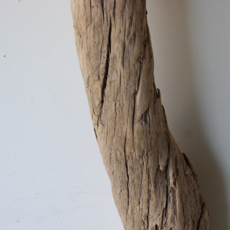 Treibholz Schwemmholz Driftwood 1 XXL Stamm  Terrarium 120 cm 