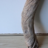 Treibholz Schwemmholz Driftwood 1 XXL Stamm  Terrarium 120 cm 
