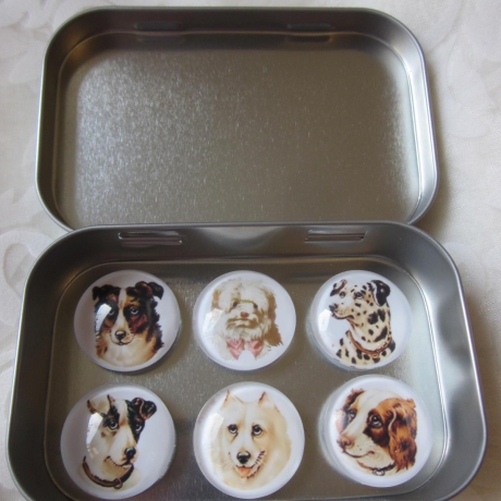 6er Set Cabochon Magnete Hunde Dalmatiner Chiens