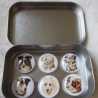 6er Set Cabochon Magnete Hunde Dalmatiner Chiens