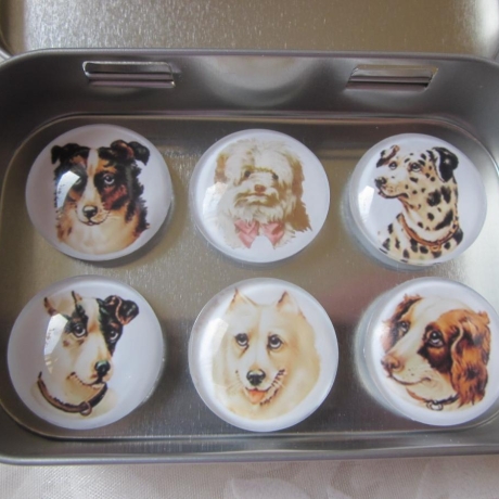 6er Set Cabochon Magnete Hunde Dalmatiner Chiens