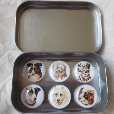 6er Set Cabochon Magnete Hunde Dalmatiner Chiens