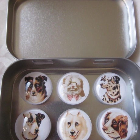 6er Set Cabochon Magnete Hunde Dalmatiner Chiens