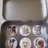 6er Set Cabochon Magnete Hunde Dalmatiner Chiens