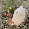 ceramic rabbit with egg  ceramic jar