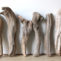 Treibholz Schwemmholz Driftwood 6 Hölzer Terrarium 32-36 cm *E8*