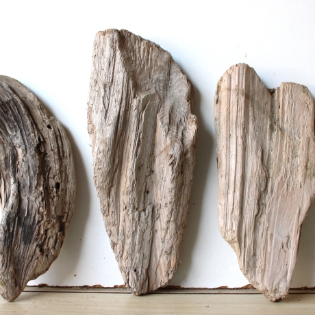 Treibholz Schwemmholz Driftwood 3 Hölzer Terrarium 29-33 cm *E9*