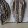Treibholz Schwemmholz Driftwood 3 Hölzer Terrarium 29-33 cm *E9*
