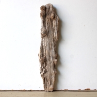 Treibholz Schwemmholz Driftwood 1  Skulptur  40 cm 