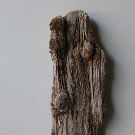 Treibholz Schwemmholz Driftwood 1  Skulptur  40 cm 