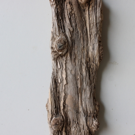 Treibholz Schwemmholz Driftwood 1  Skulptur  40 cm 