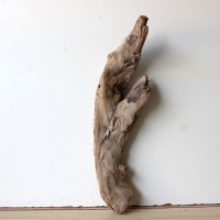 Treibholz Schwemmholz Driftwood 1  Skulptur  55 cm 