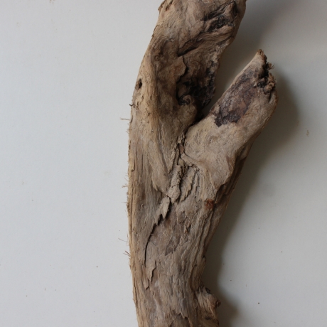 Treibholz Schwemmholz Driftwood 1  Skulptur  55 cm 